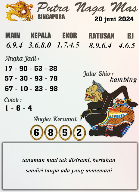 SYAIR SGP VIP